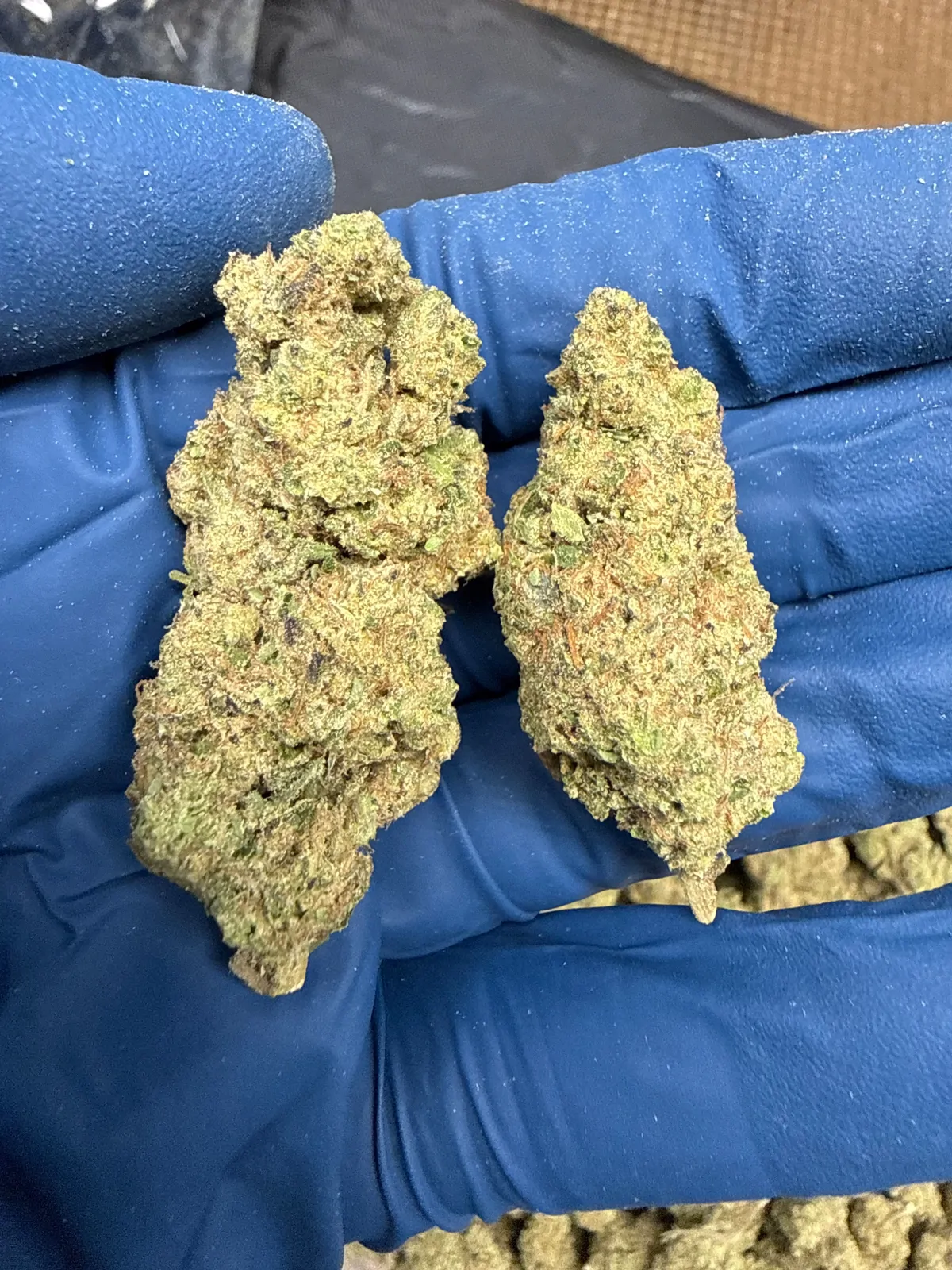 Diesel Drip X Frosted Glue Flower